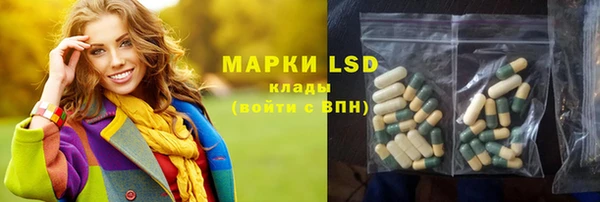 шишки Верея