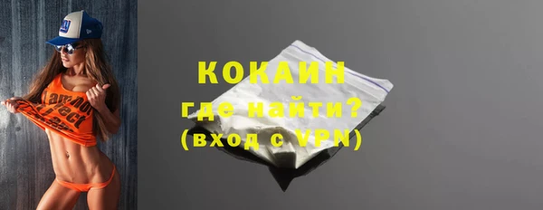шишки Верея