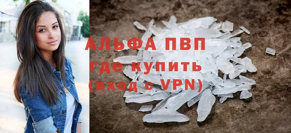 шишки Верея