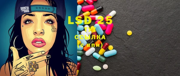 шишки Верея