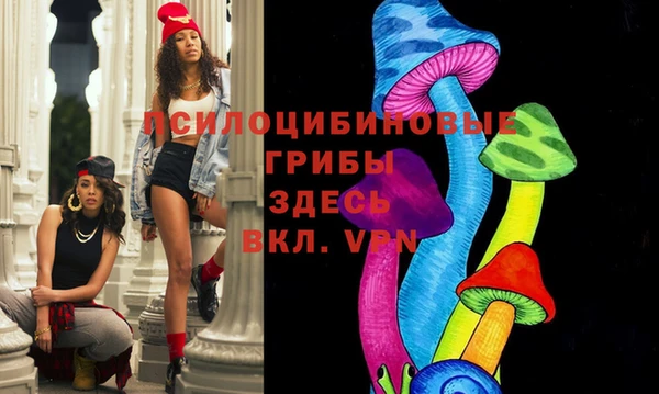 шишки Верея