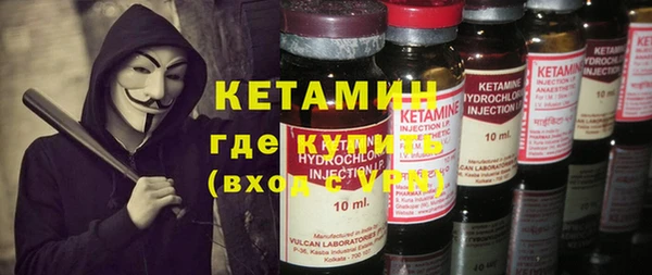 шишки Верея