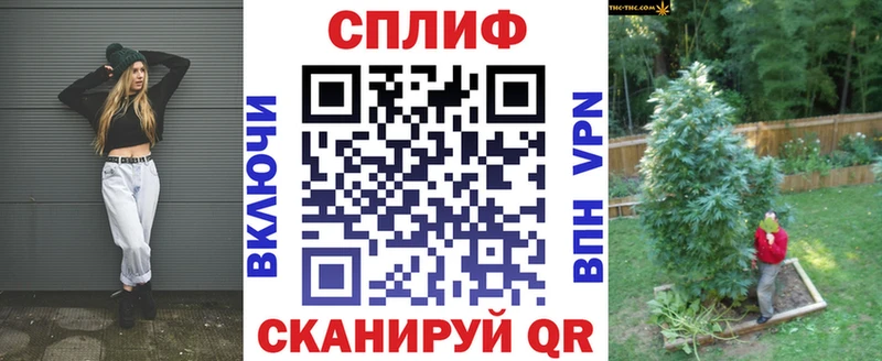 купить закладку Тбилисская Марихуана семена